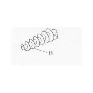 (H) ENDLESS SCREW FOR TOMATO JUICER