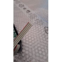 LARGE BUTTON BODY MONT