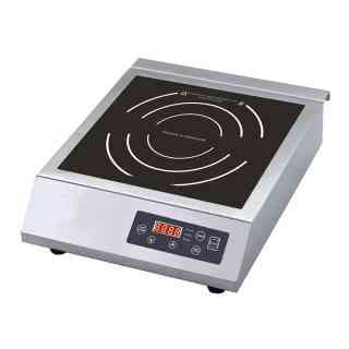 rgv induction cooking plate