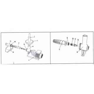 ENDLESS SCREW (AUGER) FOR POMMY