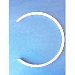 anello protezione affettatrice rgv lusso 275