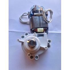 gruppo motore più scatola ingranaggi grattugia robusta junior marca rgv