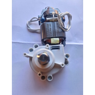 gruppo motore più scatola ingranaggi grattugia robusta junior marca rgv