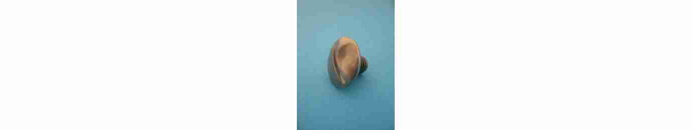 Screws for RGV Slicer | AG Work Solution