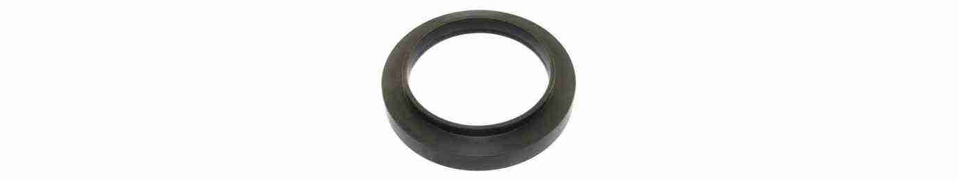 oil seals