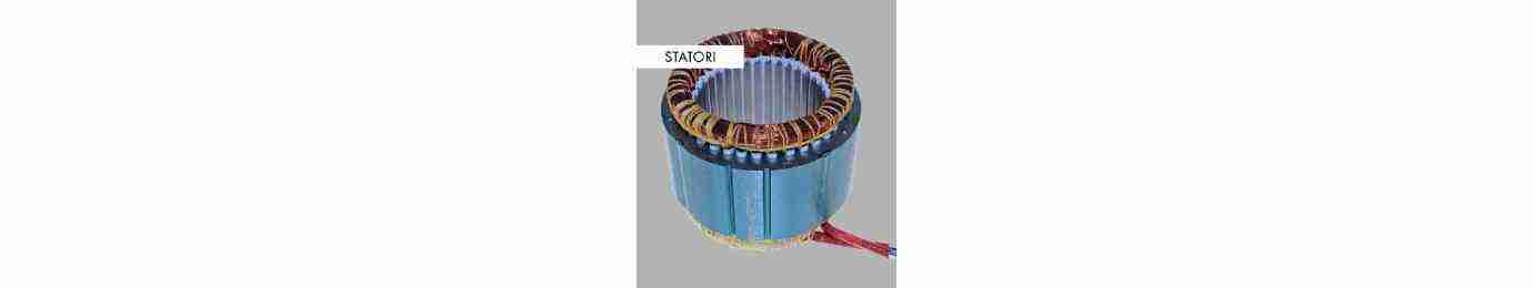 Motor Stator for Slicer and Meat Grinder | Spare Parts | AG Work Solution