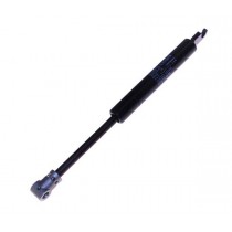 GAS STRUTS