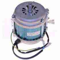 MOTOR STATOR WINDINGS